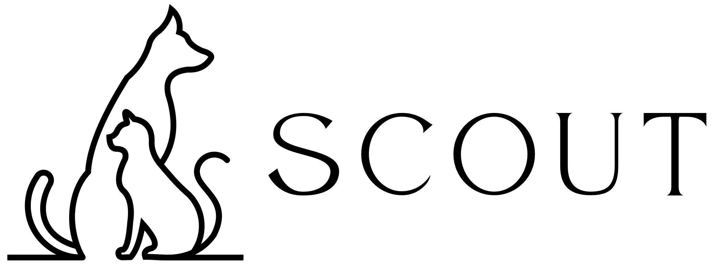 Scout LLC